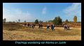 Wandeling van Monke en Judith op 21-10-2012 (34)